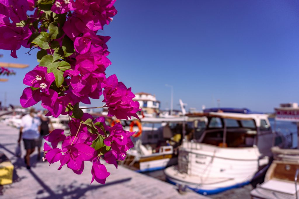 spring boating